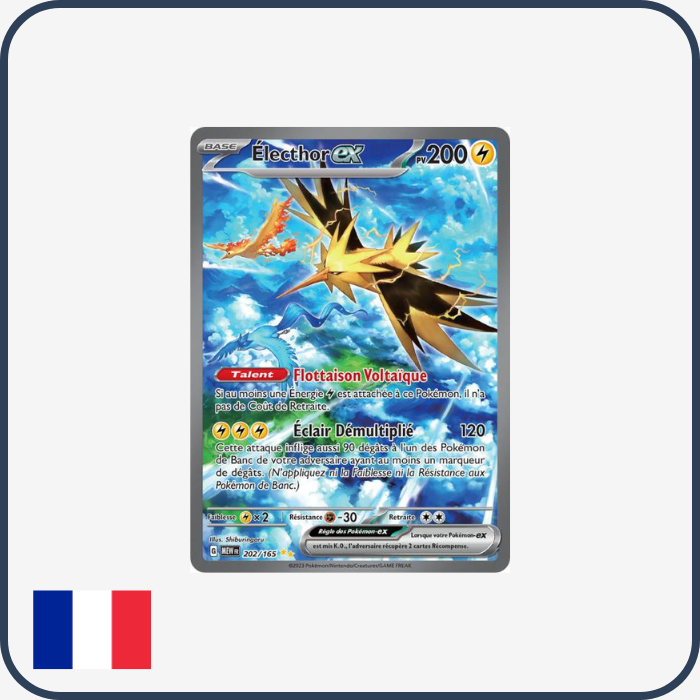 Electhor ex 202/165